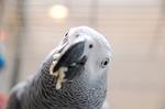 DSC_0126.jpg