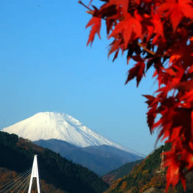 momiji-fuji.jpg