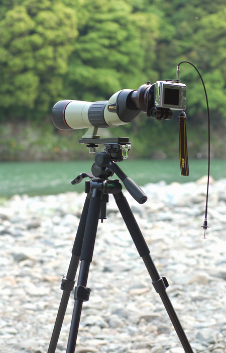 Nikon - 498希少 Nikon ニコン 接眼レンズ フィールドスコープ用 の