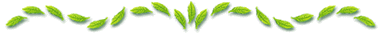 leafline_01.gif