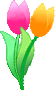 tulip-w.gif